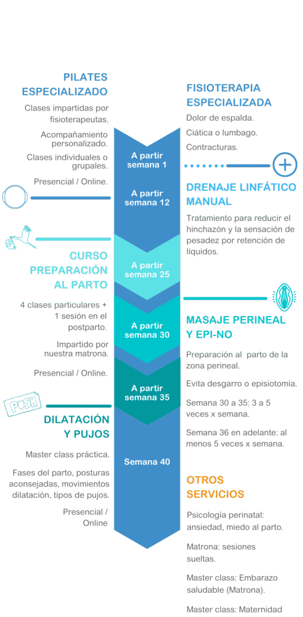 embarazo semana a semana atempocare embarazo semana a semana atempocare